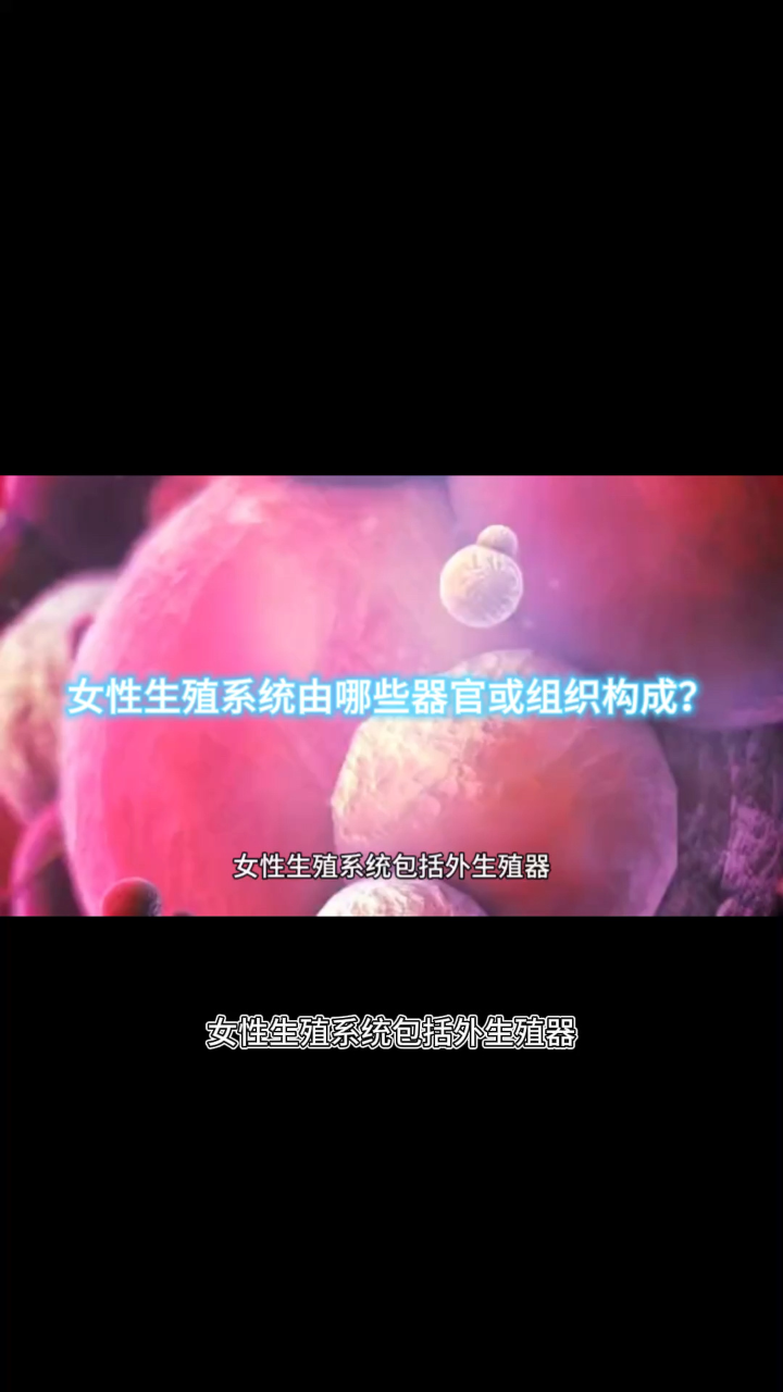 女性生殖系统由哪些器官或组织构成？_高清1080P在线观看平台_腾讯视频