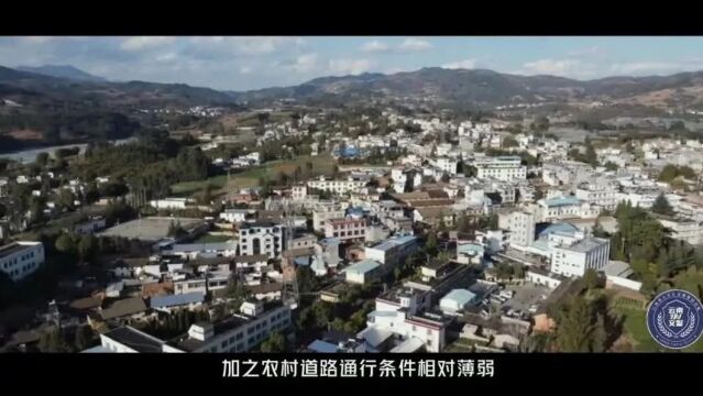 【宾川科普】科技暖民心!水果加工产业科技特派团为群众送上“科技大餐”