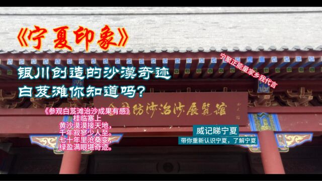 宁夏印象:银川创造的沙漠奇迹,你见过是什么样的吗?