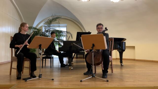 Weber trio Op.63