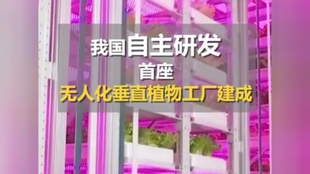 自主研发!首座无人化垂直植物工厂投入使用→