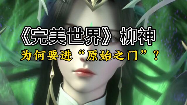 《完美世界》的柳神为何要进入“原始之门”,里面究竟隐藏着何等大秘?