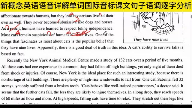 新概念英语第三册第九课语音详解单词国际音标句子课文语调逐字分析