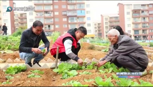 安龙五福社区:“微菜园”充实搬迁群众“菜篮子”