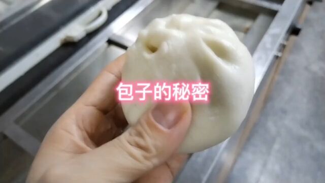 肉包子菜包子传递正能量