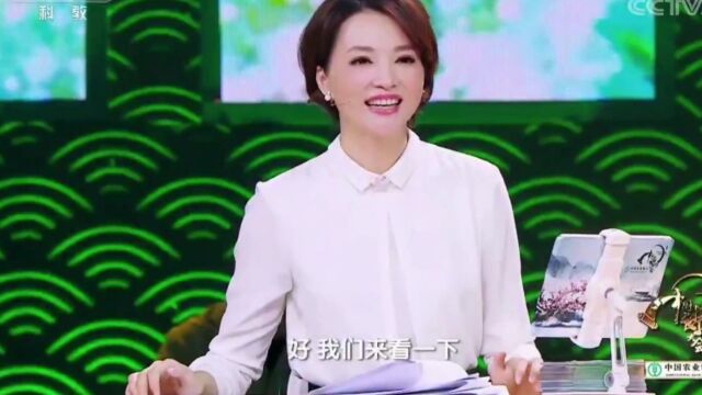 诗词大会第三季第六场‖帅克精彩答题剪辑分享