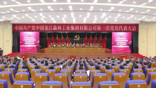 中国共产党中国龙江森林工业集团有限公司第一次党员代表大会隆重召开