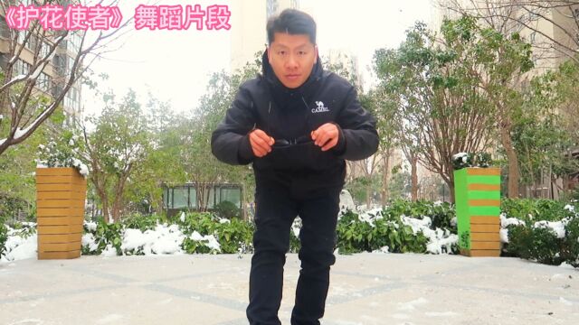 年会舞蹈《护花使者》,喜欢可以收藏