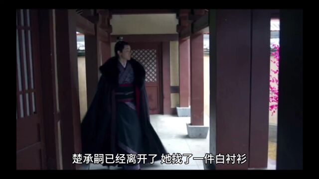 精选热门《妻引》楚玉楚承嗣(妻引小说)