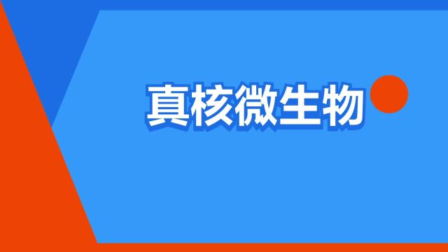 “真核微生物”是什么意思?