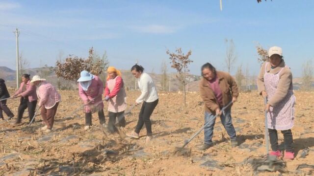 威宁:2023年国家水土保持重点工程有序推进