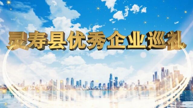 【灵寿县优秀企业巡礼】第十二期——河北永泰集团股份有限公司