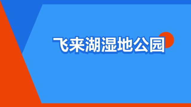 “飞来湖湿地公园”是什么意思?