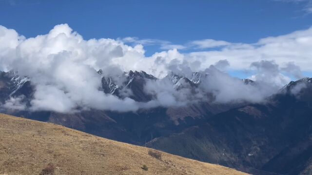 深秋川西、金色米亚罗、雪山草甸二古溪