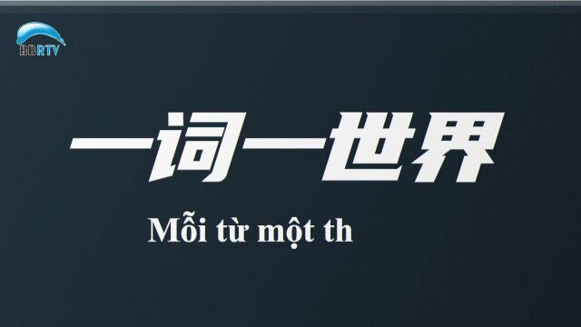 南宁与越南基本实现公铁水空物流通道通达