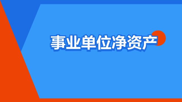 “事业单位净资产”是什么意思?