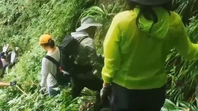 旅友网上报名旅游团体,长时间徒步遭遇阵雨,有人不慎受伤