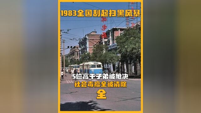 1983年严打期间,5位高干子弟被枪决,社会毒瘤被尽数铲除