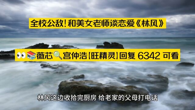 全校公敌!和美女老师谈恋爱《林风》金牌宝藏热门○小说阅读