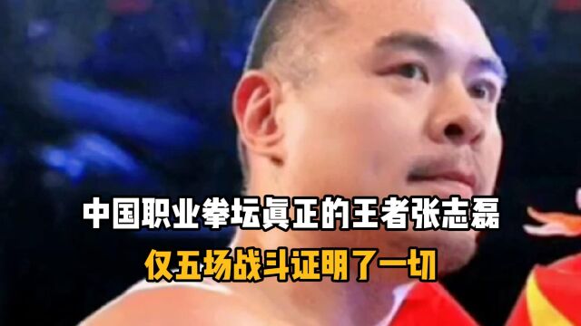 体坛名场面|中国职业拳坛真正的王者张志磊,仅五场战斗证明了一切