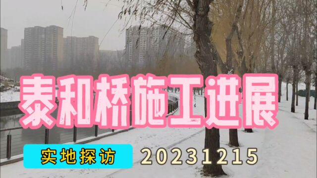 实地探访:泰和桥施工进展20231215