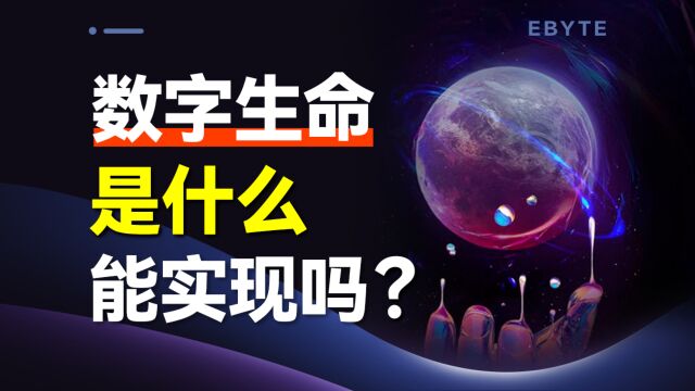 什么是数字生命计划?你认为能实现吗?