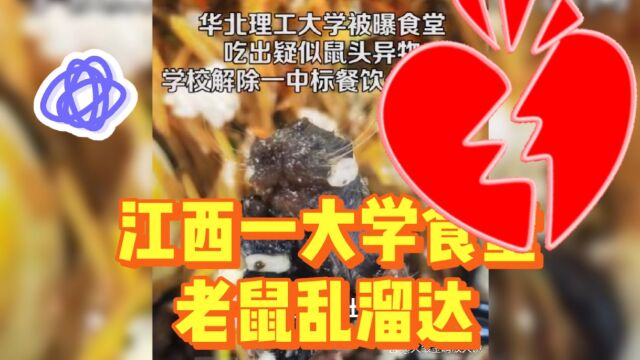 江西一大学食堂老鼠乱窜