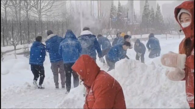 奥托自动化雪仗现场