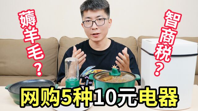 网购5种10元电器,薅羊毛还是智商税?