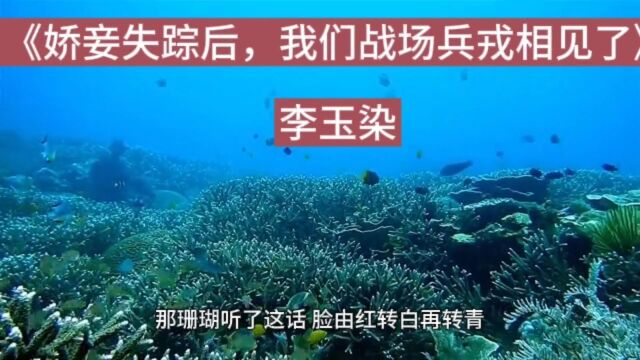 《娇妾失踪后,我们战场兵戎相见了》李玉染完整版全本畅读