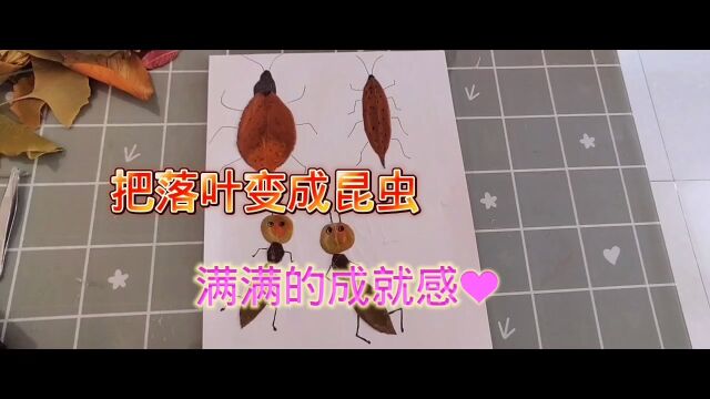 手工DIY:把捡来的落叶变成昆虫贴画