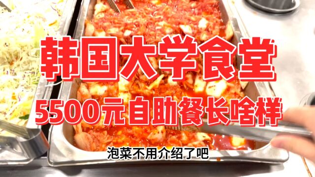 韩国大学食堂5500元能吃什么?报复性加菜的一天!