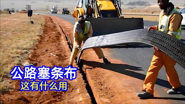 为什么澳大利亚要在公路上塞一条塑胶软布