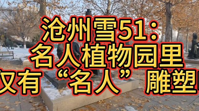 沧州雪51:名人植物园仅有“名人”雕塑啦