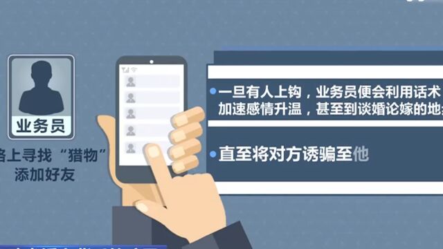 跨省婚恋背后的骗局,业务员在网上物色下手目标用话术谈感情