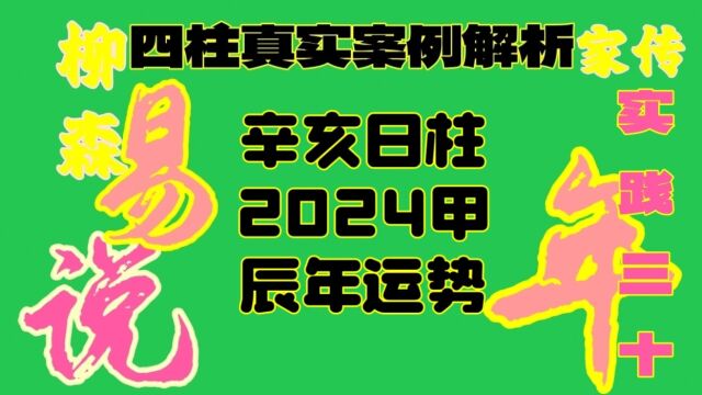 辛亥日柱生人男女2024甲辰年龙年运势解析