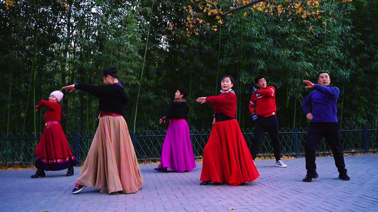 紫竹院广场舞《微腾花》完整版,舞姿优美,歌好听