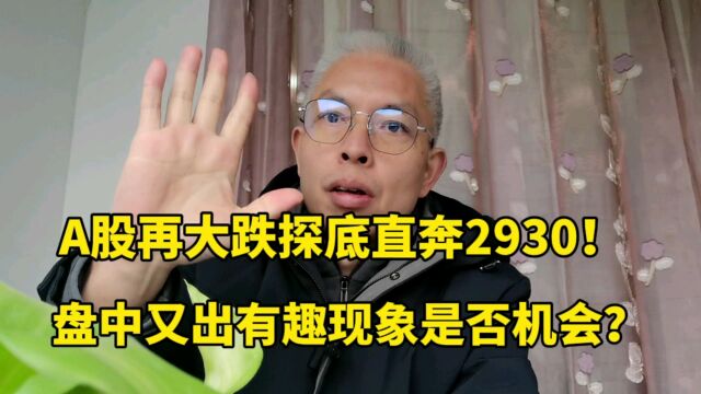 A股再大跌探底直奔2930!盘中又出有趣现象是否机会?