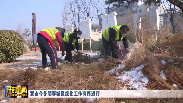 我市今冬明春城区绿化工作有序进行