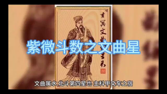 紫微斗数之文曲星