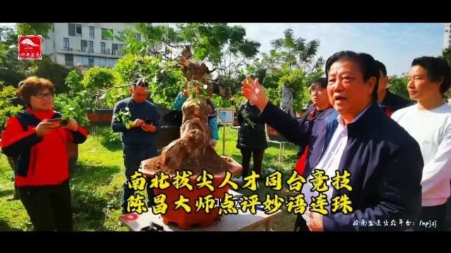 广州最冷的冬天,迎来最火热的盆景人盛事,如皋盆景拔尖人才赴粤交流完美收官!