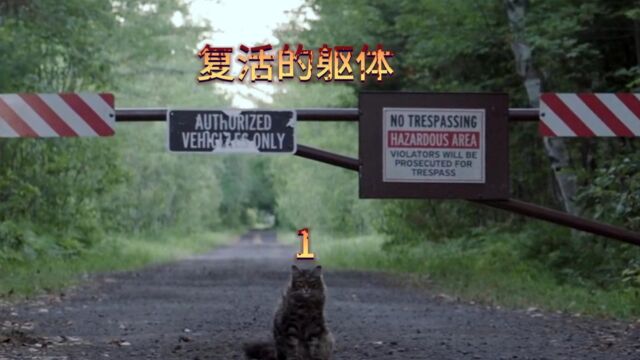 宠物坟场 一个能复活各种生物的神奇地带