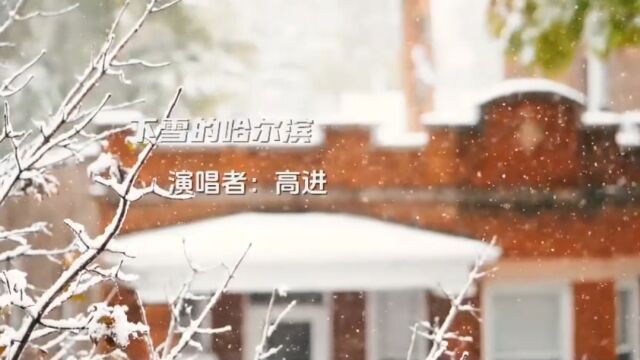 高进《下雪的哈尔滨》你见过下雪的哈尔滨吗