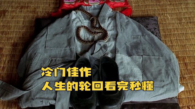 冷门佳作《春夏秋冬又一春》,人生的轮回看完秒懂