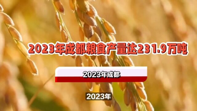 2023年成都粮食产量达231.9万吨