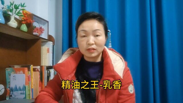 胡志英:带着安静沉稳气息的乳香精油,可缓解内心不安,释放压力