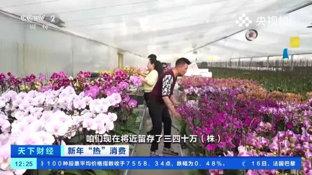 宁夏银川:鲜花大量上市