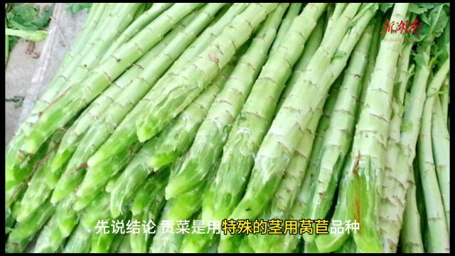 今日科普嘎嘣脆的贡菜到底是不是晒干的莴笋