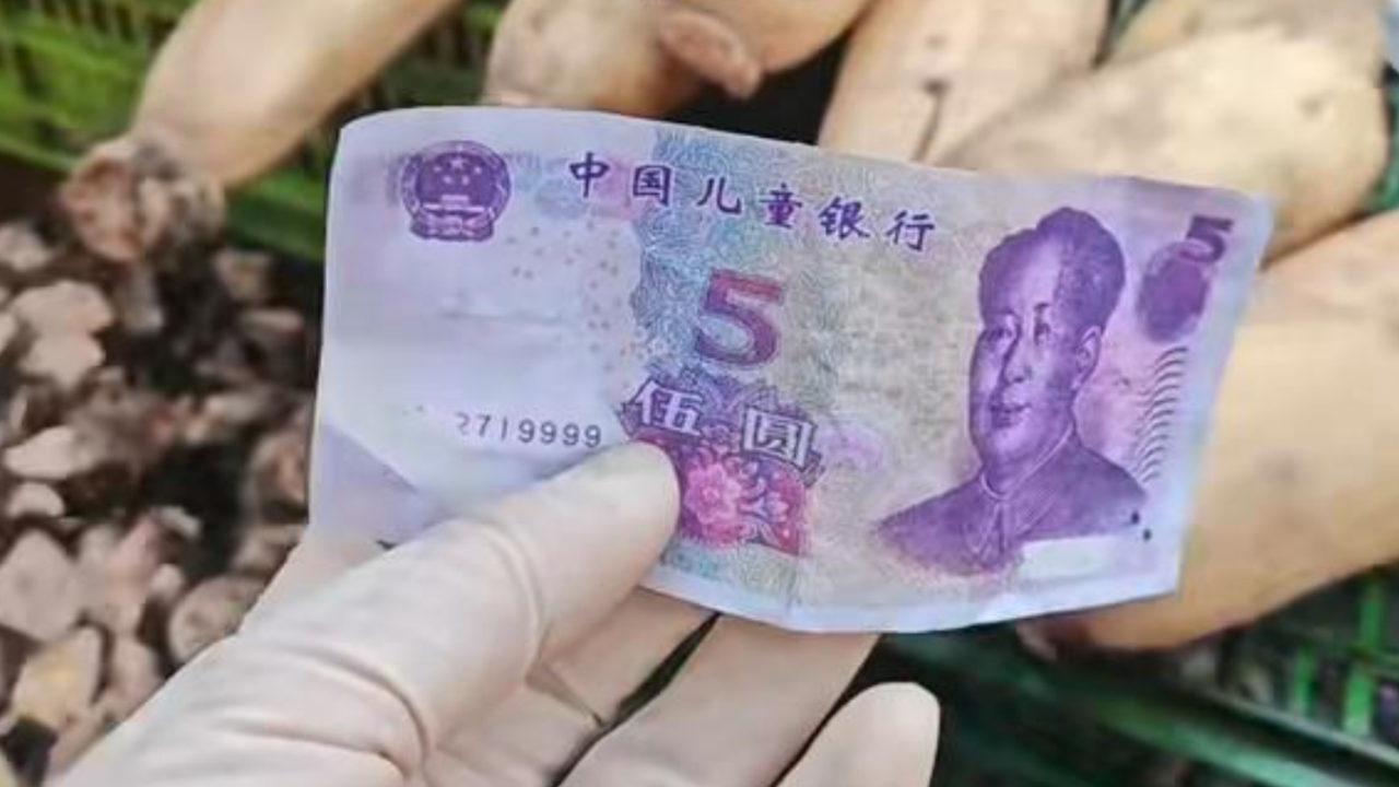 女子卖莲藕收到5元假币,印着"中国儿童银行":不好找婆婆麻烦