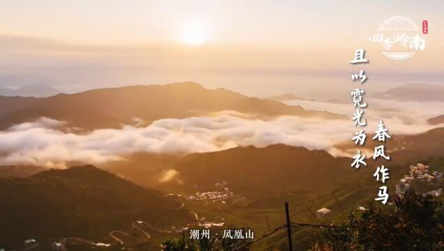 春分南风邀春至潮州小羊拍客四季岭南